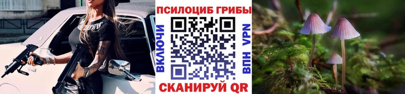 Псилоцибиновые грибы Psilocybine cubensis  Купить где  Салават 