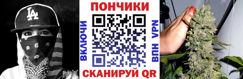 Купить где  Салават  МАРИХУАНА ГИДРОПОН 